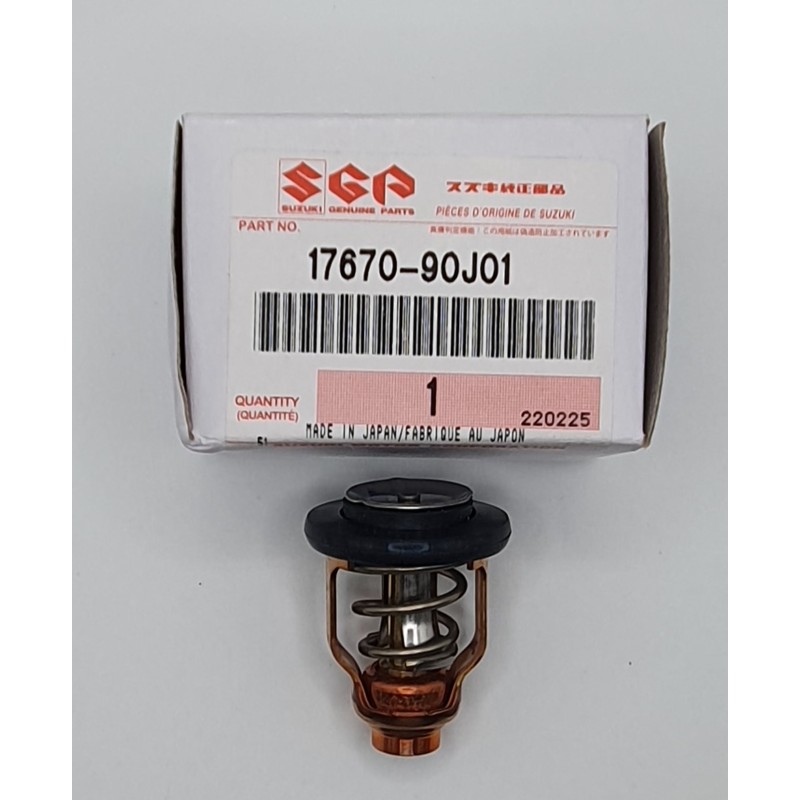 ΘΕΡΜΟΣΤΑΤΗΣ (60C) | 17670-90J01