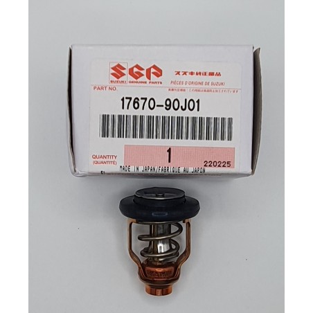 ΘΕΡΜΟΣΤΑΤΗΣ (60C) | 17670-90J01