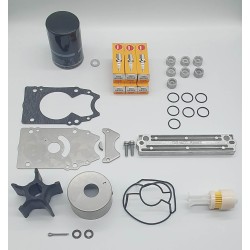 SERVICE KIT DF300 (07-10)