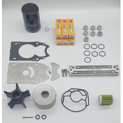 SERVICE KIT DF300 (11)