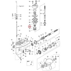 ΤΣΙΜΟΥΧΑ , ΤΣΙΜΟΥΧΟΦΟΛΙΑΣ ΑΞΟΝΑ ΠΟΔΙΟΥ | 332-60223-0