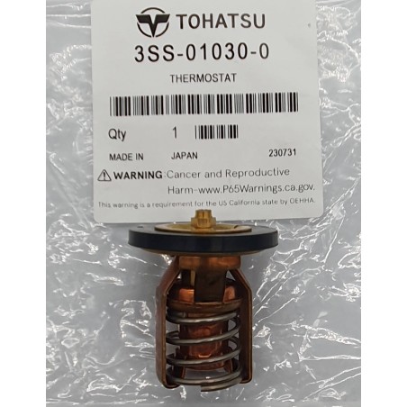 ΘΕΡΜΟΣΤΑΤΗΣ | 3SS-01030-0