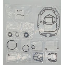 GASKET SET, LOWER UNIT |...