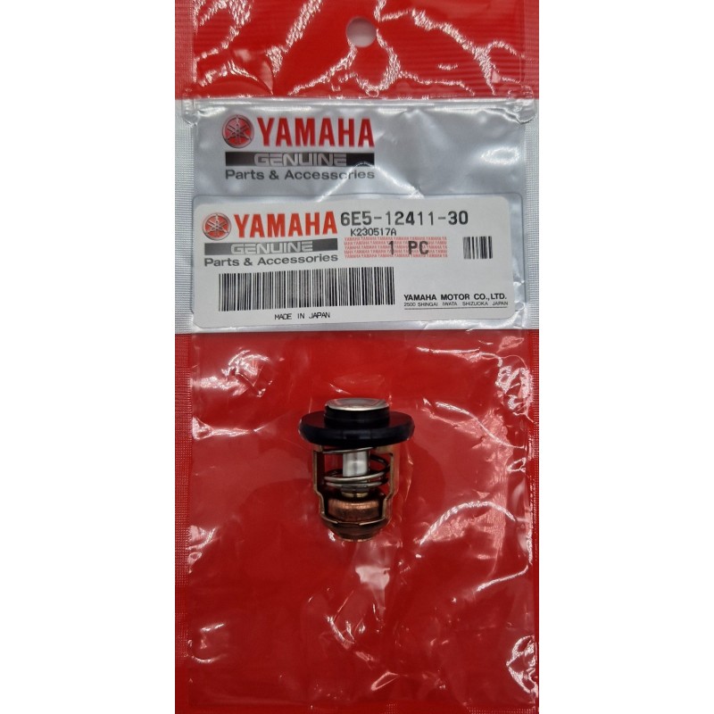 ΘΕΡΜΟΣΤΑΤΗΣ | 6E5-12411-30