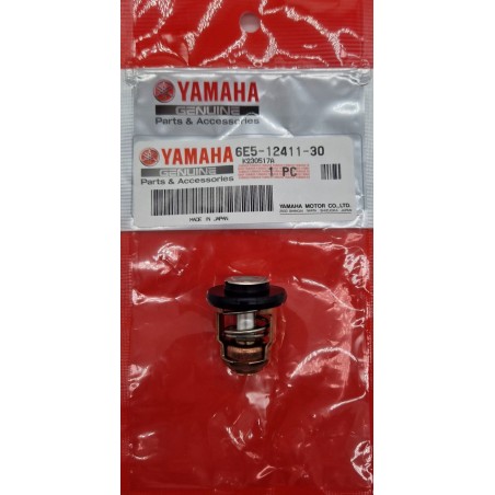 ΘΕΡΜΟΣΤΑΤΗΣ | 6E5-12411-30