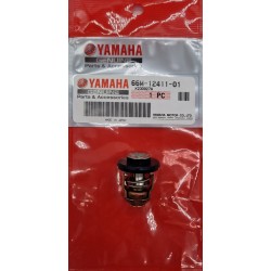 THERMOSTAT | 66M-12411-01