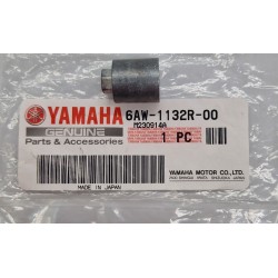 ANODE | 6AW-1132R-00