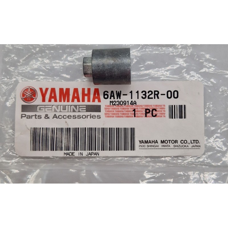 ΑΝΟΔΙΟ | 6AW-1132R-00