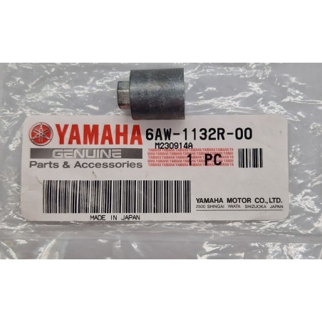 ΑΝΟΔΙΟ | 6AW-1132R-00