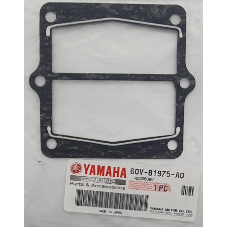 ΦΛΑΝΤΖΑ, ΠΛΑΚΑ ΑΝΟΡΘΩΤΗ  | 60V-81975-A0