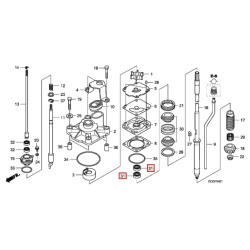 OIL SEAL, HOUSING WATER PUMP | 91253-ZZ3-003