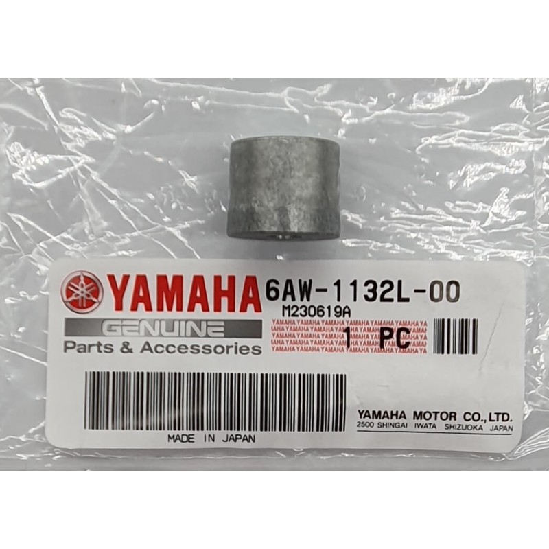 ANODE | 6AW-1132L-00