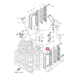ΑΝΟΔΙΟ | 6P2-11325-00