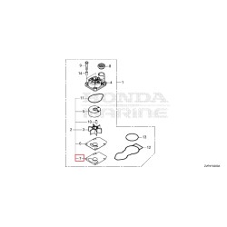 GASKET B, WATER PUMP  |  19234-ZVP-000
