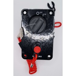 Main Switch Panel Assemby