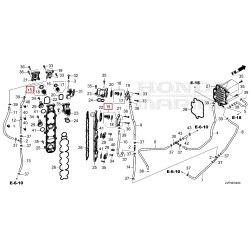 THERMOSTAT | 19300-ZVP-003