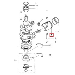 PISTON "STD" | 3C8-00001-4