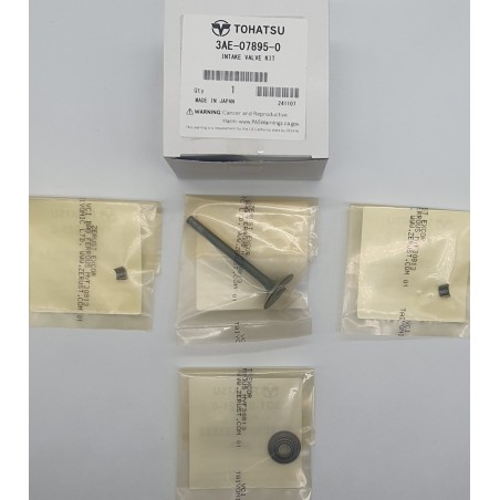 ΒΑΛΒΙΔΑ ΕΙΣΑΓΩΓΗΣ KIT | 3AE-07895-0