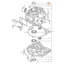 ΤΣΙΜΟΥΧΑ, ΣΤΡΟΦΑΛΟΥ (ΑΝΩ) | 09283-38025