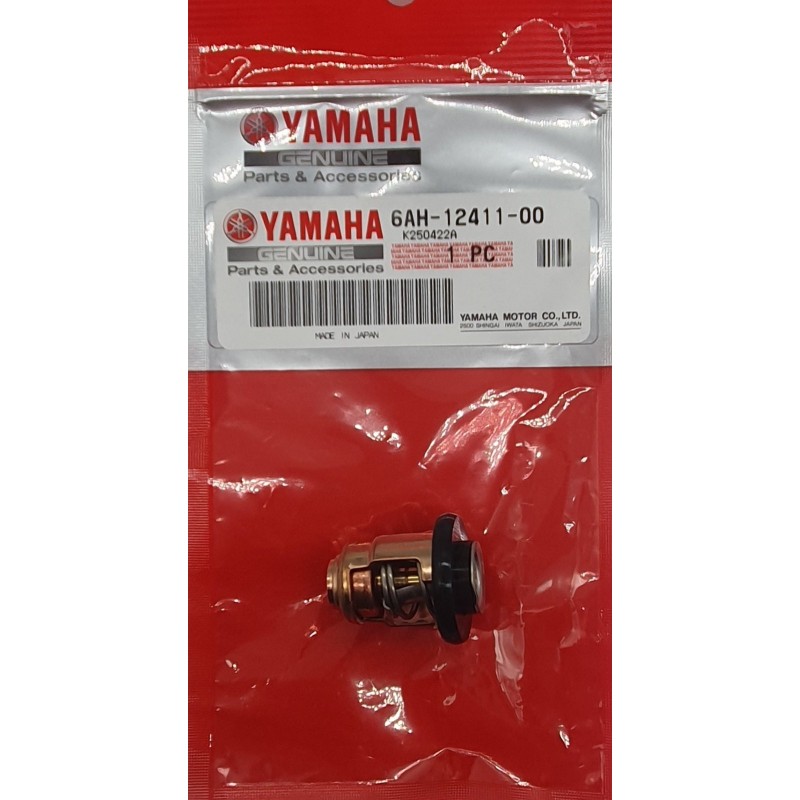 ΘΕΡΜΟΣΤΑΤΗΣ | 6AH-12411-00