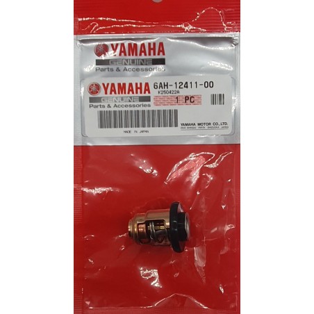 ΘΕΡΜΟΣΤΑΤΗΣ | 6AH-12411-00