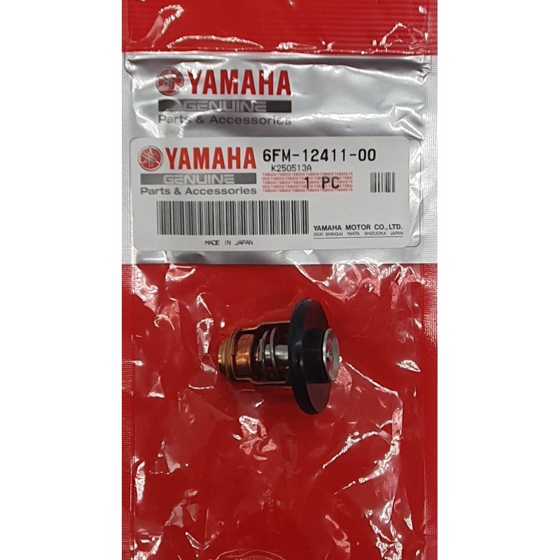 ΘΕΡΜΟΣΤΑΤΗΣ | 6FM-12411-00