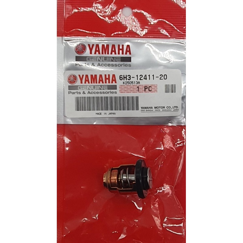 THERMOSTAT | 6H3-12411-20