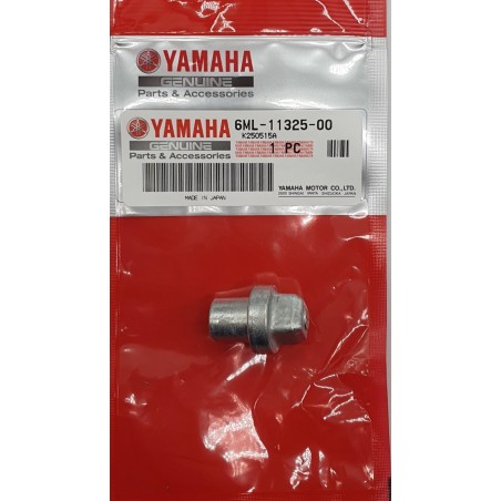 ΑΝΟΔΙΟ | 6ML-11325-00